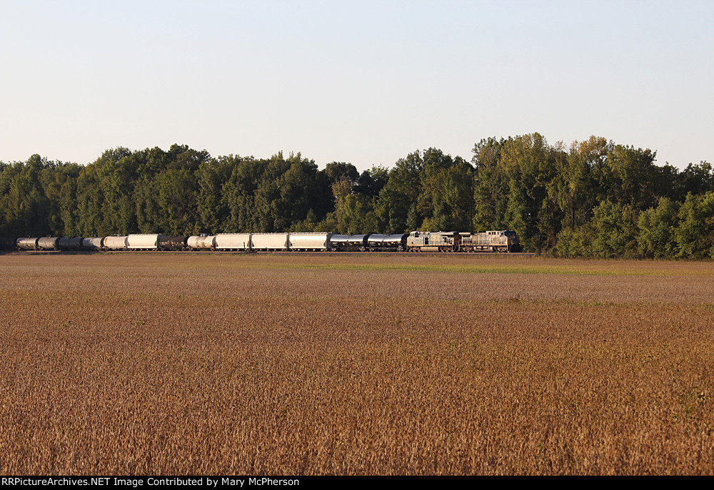 CSX 292 North